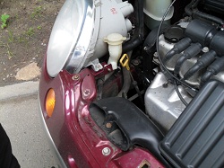 matiz2306_7